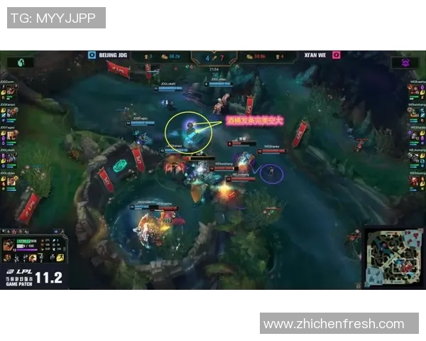 赛后复盘WE对阵JDG的耐力较量与战术分析