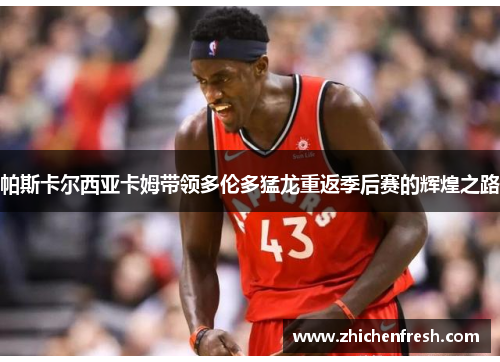帕斯卡尔西亚卡姆带领多伦多猛龙重返季后赛的辉煌之路