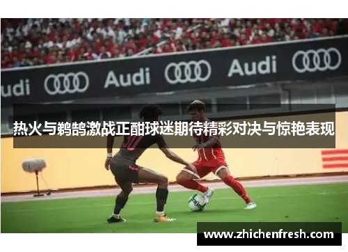 热火与鹈鹄激战正酣球迷期待精彩对决与惊艳表现