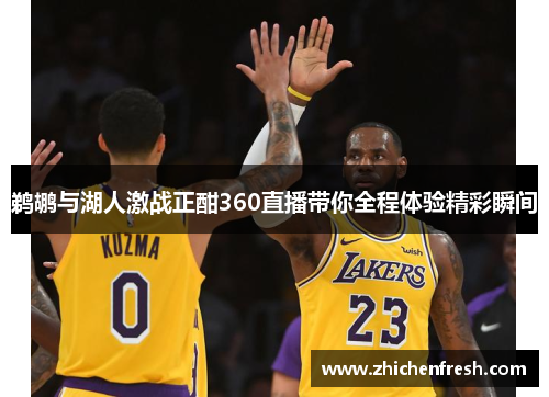 鹈鹕与湖人激战正酣360直播带你全程体验精彩瞬间